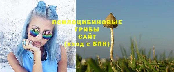 экстази Алексин