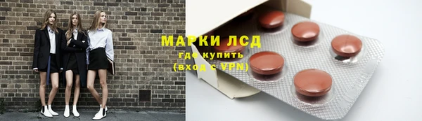 хмурый Алзамай