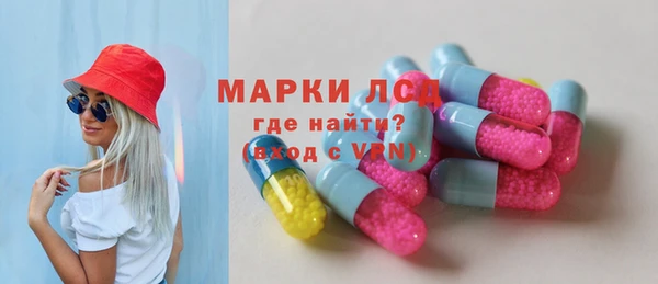 СК Медвежьегорск
