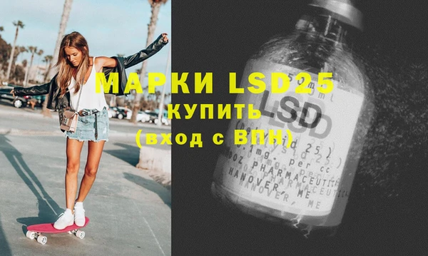хмурый Алзамай