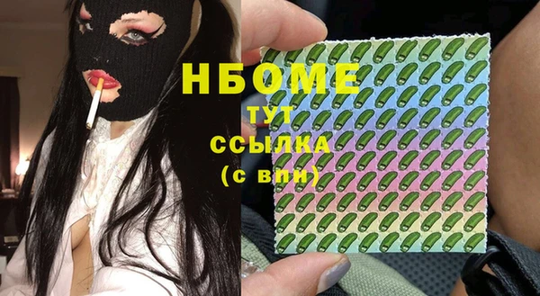 хмурый Алзамай