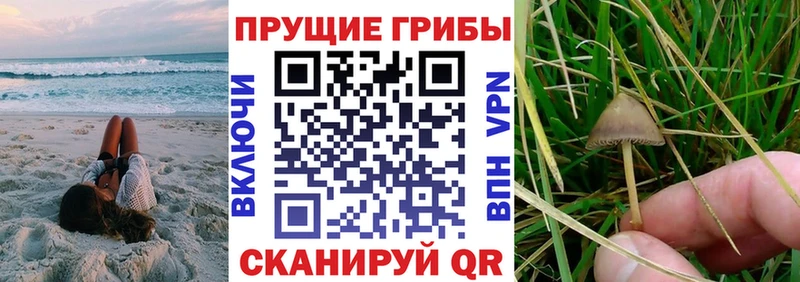 Галлюциногенные грибы прущие грибы  Уссурийск 