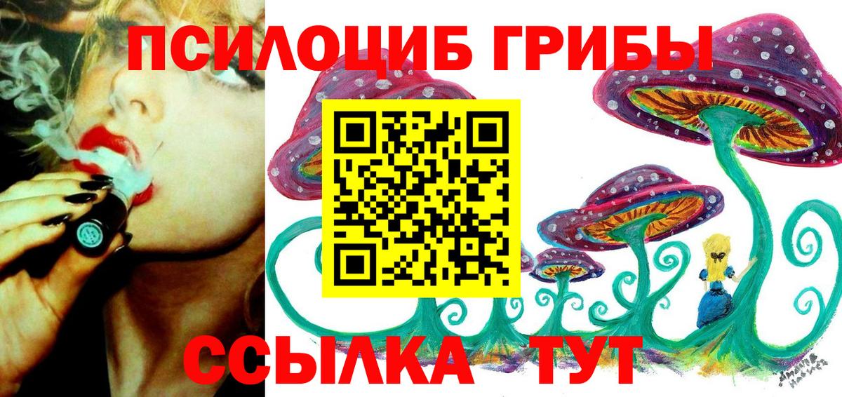 Псилоцибиновые грибы мицелий Уссурийск